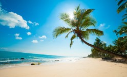 Mallorca Urlaub g&uuml;nstig buchen